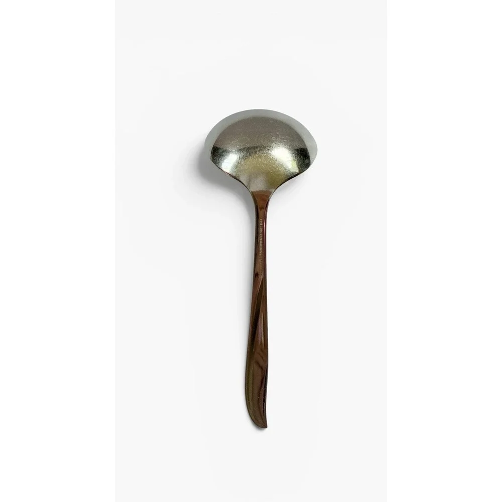 Oneida Community Stainless Twin Star Casserole Gravy Ladle MCM Atomic Burst VTG